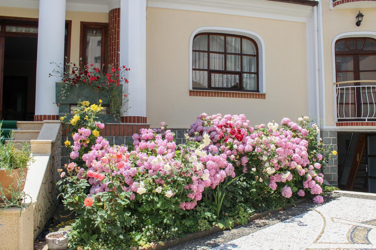 Vila Topciu Pogradec Kültér fotó